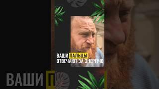 ВАШИ ПАЛЬЦЫ ОТВЕЧАЮТ ЗА ЭНЕРГИЮ