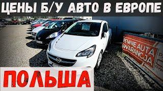 КАК изменились ЦЕНЫ на Б/У АВТО в ЕВРОПЕ? ОБЗОР ПОЛЬСКИХ АВТО-КОМИССИОНОК, осень 2024 года.