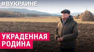 Как изменилась жизнь наших героев после войны | #ВУКРАИНЕ