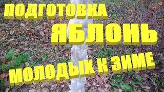 ПОДГОТОВКА ЯБЛОНЬ К ЗИМЕ.Уход за яблоней осенью