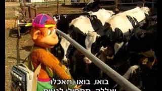 קופיקו עונה 1 פרק 10 - איזו הקלטה