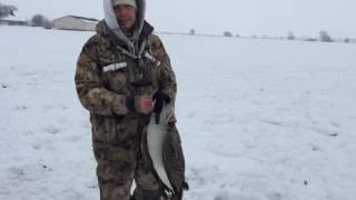 Goose hunting tip: How to quickly kill an injured bird