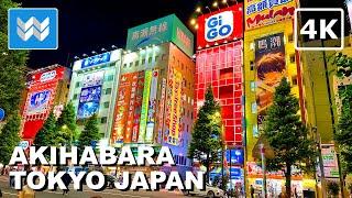 [4K] Akihabara Electric Town at Night in Tokyo Japan  2024 Virtual Walk Tour Vlog