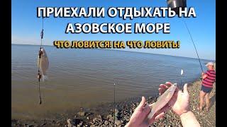 Что можно поймать на Азовском море во время отдыха! Рыбалка на море! Что для этого нужно!