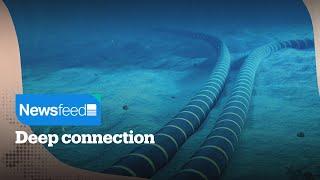 Meta plans to build globe-spanning underwater internet cable