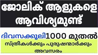 2025 Kerala Job vacancy/latest job vacancy in kerala/kerala job vacancy today/job vacancy 2025 #job