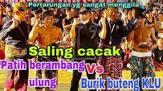 Patih berambang ulung lobar VS borik buteng KLU