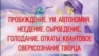 ПРОБУЖДЕНИЕ. УМ. АВТОНОМИЯ. НЕЕДЕНИЕ. СЫРОЕДЕНИЕ. ГОЛОДАНИЕ. ОТКАТЫ. КВАНТОВОЕ СВЕРХСОЗНАНИЕ ТВОРЦА