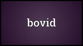 Bovid Meaning