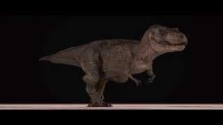 Jurassic Park Tyrannosaurus Rex 3D Model Animation (Vray Render)