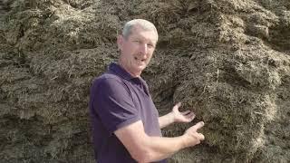 Successful Corn Silage - Face management