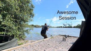 Awesome session 5 bites 2 amazing carp