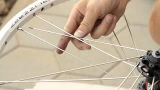How to Lace a Wheel - Three cross pattern