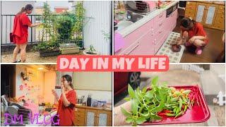 DAY IN MY LIFE|BELANJA-PANEN-MASAK-MAKAN