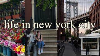Dream Week In New York ️ ⎪Time Square, Brooklyn Bridge, Chinatown, Little Italy!