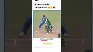 4 intelligent cricketer is the world #ytshorts #viral