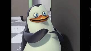 Further evidence that Penguins of Madagascar was and is the best show