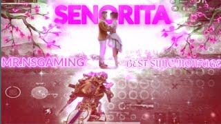 SENORITA||BEST SYNC||VELOCITY||BGMI MONTAGE#30||3D PUBG||MR.NS GAMING