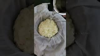 How to Make Paneer at home/Healthy homemade paneer/Niki's kitchen