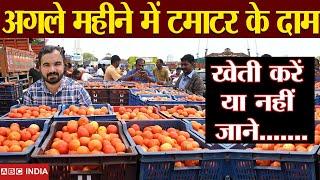  tomato future price | tamatar ka Bhav | ️High Tomato Prices in India | tomato prices prediction 