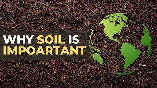 Save Soil | Why Soil Is Important | The Planet Voice