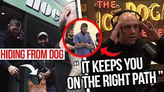 Joe Rogan IMPRESSED By The 5 Daily Prayers In Islam | Khabib Nurmagomedov Scared of Dogs!