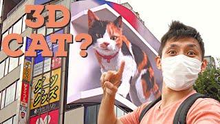 How the Giant 3D Cat Display Billboard Looks From Different Angles | Shinjuku Streetview