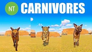 Near Threatened Carnivores Speed Race in Planet Zoo included Maned Wolf, Jaguar, Striped Hyena