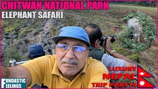 Elephant Safari at Chitwan National Park - Luxury Nepal Trip Part15