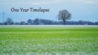 A One Year Timelapse - One Year in 23 Seconds