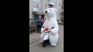 Оригинальное Поздравление! Белый Мишка на мотоцикле и Поздравляет именинницу  Аниматор Киев ин юа