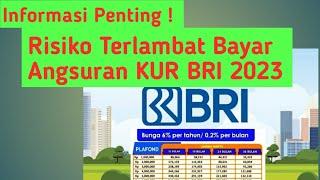 Informasi Penting ! Ini Risiko Terlambat Bayar Angsuran KUR BRI 2023