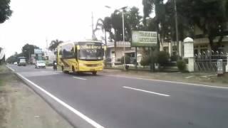 Telolet bus ms.madani di madiun