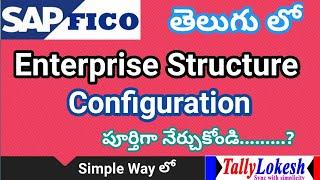 Configuration of Enterprise Structure in SAP FI | Complete Enterprise structure Telugu - By Lokesh