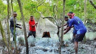 সুন্দরবনে গভীর জঙ্গলে,ডোবায় হাতিয়ে,প্রচুর কলা পার্শ্বে মাছ ধরলাম!!!