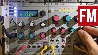 Modular Monthly: Exploring Mutable Instruments Clouds