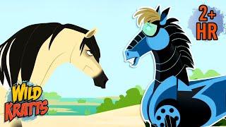 Activate Wild Pony Powers | Creature Transformations | Wild Kratts