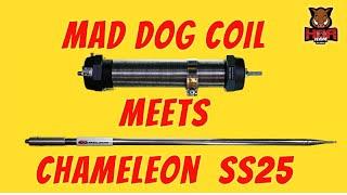 "BIG DOG" from Mad Dog Coils & Chameleon Antenna SS25 do Portable 80 Meters SSB Voice, FT8, & WSPR