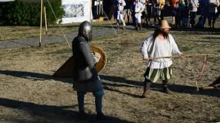 Warrior with kite shield and axe dueling with norman with kite shield and one handed sword