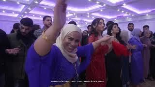 Tufan Derince & Grup Hezar Grani | 2000 kisi Dersim-Aksaray Dugunu Amsterdam | Gamze&Serhat Wedding