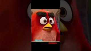 Angry Birds / Кряк отряд.#shorts #кино #сериалы #фильмы #2023