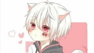 ~Neko ASMR~ Comforting a lost neko boy at ur doorstep:3~~