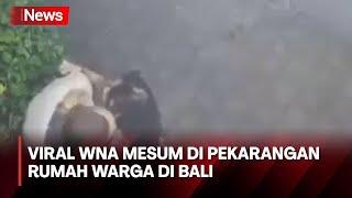 Aksi WNA Mesum di Pekarangan Rumah Warga di Bali Terekam CCTV