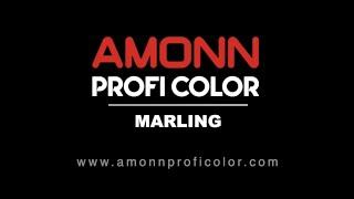 Ihr professioneller Partner für Maler, Tischler und Schlosser in Marling - Amonn Profi Color