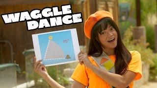 "Waggle Dance" | Phineas and Ferb Live Action Cover | MWCA