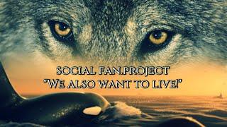 Social fan.video "We want to live too!"|K.Brez