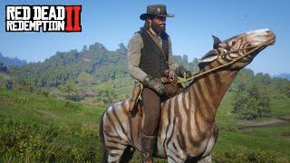 BERBURU ZEBRA DAN MENANGKAP HEWAN LANGKA DI RDR2!!