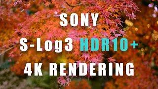 【SONY】α7s III S-Log3 4K HDR10+ H.265【a7sM3】