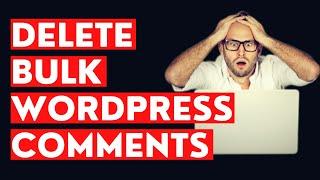 How To Delete Bulk Spam Comment on WordPress