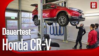 Honda CR-V (2024) | So hat er den 100.000-km-Test gemeistert | Dauertest mit Tim Dahlgaard